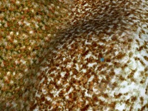 autumn and winter seamless textures pack CG Textures