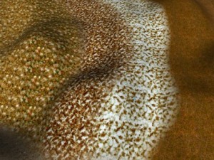 autumn and winter seamless textures pack CG Textures