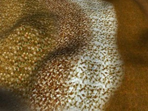 autumn and winter seamless textures pack CG Textures