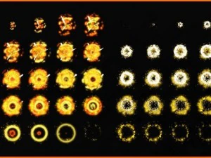 2d explosion animations pack 3D Model