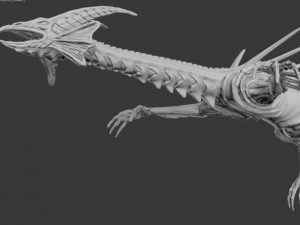toon water dragon 3D 模型
