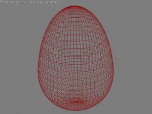 egg 3D Model