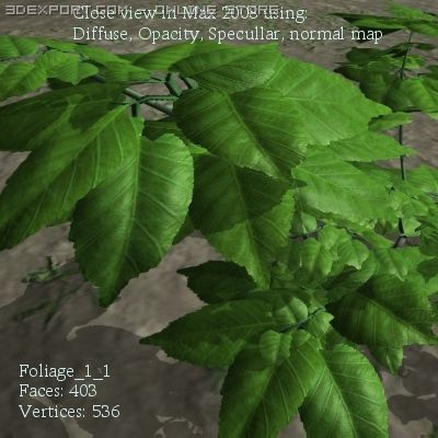 forest foliage 1 Modèle 3D .c4d .max .obj .3ds .fbx .stl .blend 
