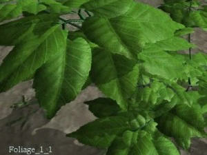 숲의 단풍 1 3D 모델