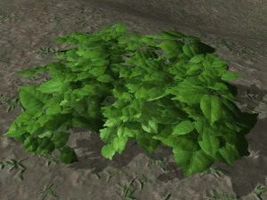 follaje del bosque 1 Modelo 3D