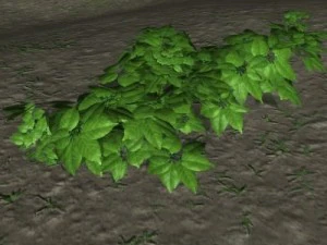 follaje del bosque 1 Modelo 3D