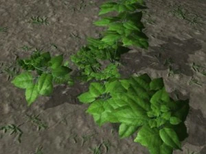 follaje del bosque 1 Modelo 3D