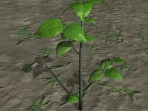 follaje del bosque 1 Modelo 3D