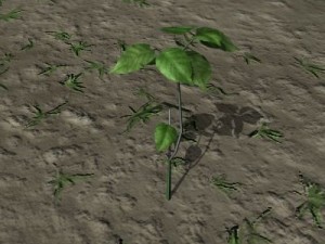 forest foliage 1 Modèle 3D