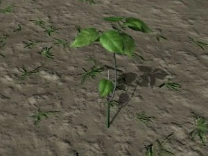 follaje del bosque 1 Modelo 3D