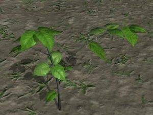 follaje del bosque 1 Modelo 3D