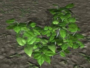 follaje del bosque 1 Modelo 3D