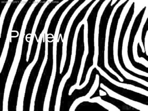 25 zebra textures CG Textures