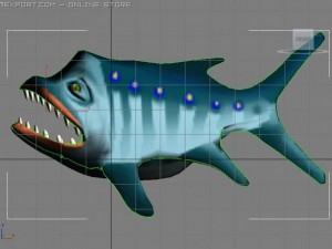 big fish 3D Model