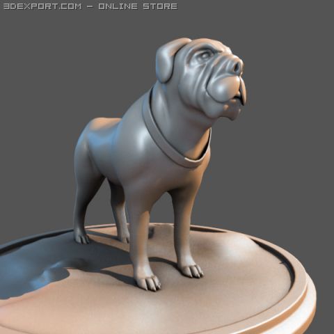 bull dog 3D-Modell .c4d .max .obj .3ds .fbx .stl .blend 