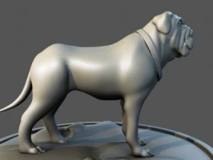 anjing banteng Model 3D