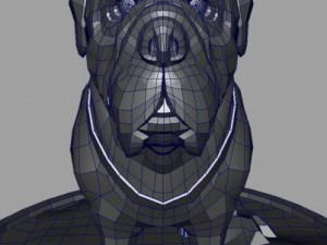 bull dog 3D-Modell