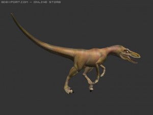 raptormodel 3D-Modell