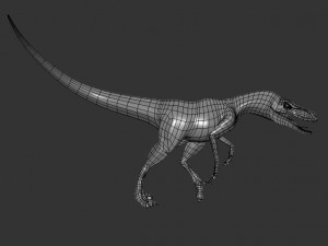 raptormodel 3D Model
