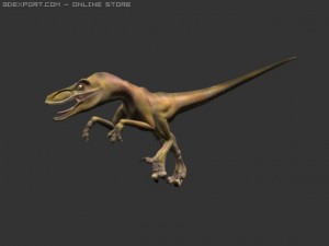 raptor rigged 3D Model