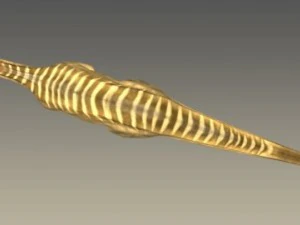 iguanodon rig 3D Model