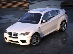 bmw x6 3D Model