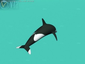 dolphin 3D 모델
