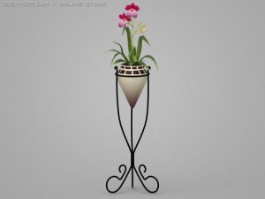 miltonia 3D Model
