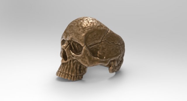 ring skull 3Dプリントモデル .c4d .max .obj .3ds .fbx .stl .blend 