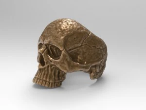 teschio ad anello Modello di stampa 3D