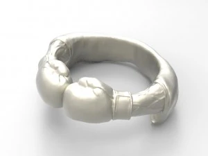 boxing glove ring 3D Print Model