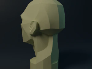 asaro head 3D Model