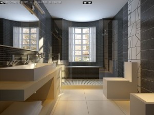 new009 Modèle 3D
