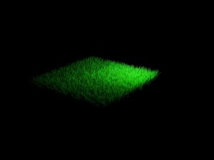 grass 3D-Modell