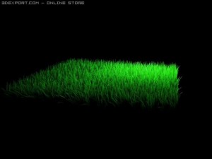 grass Model 3D