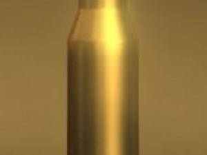 bullet Model 3D