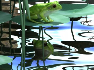 pond plants and frog Modello 3D