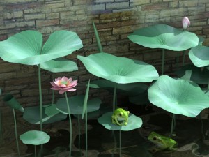 pond plants and frog Modello 3D