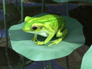 pond plants and frog Modello 3D