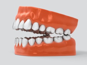 human teeth 3D 모델