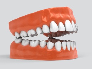 human teeth 3D 모델