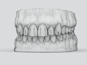 human teeth 3D 모델