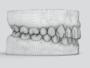 human teeth 3D 모델