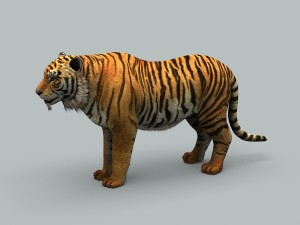Bengal Tiger 3D Model - 3DCADBrowser