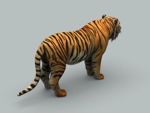 tiger 3D 모델