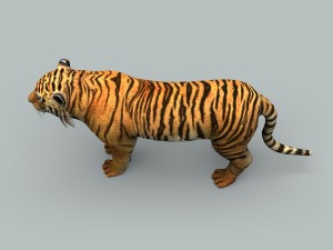 tiger 3D 모델