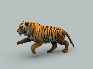 kaplan 3D Model