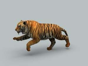 tiger 3D 모델