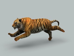 tiger 3D 모델