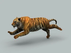 kaplan 3D Model